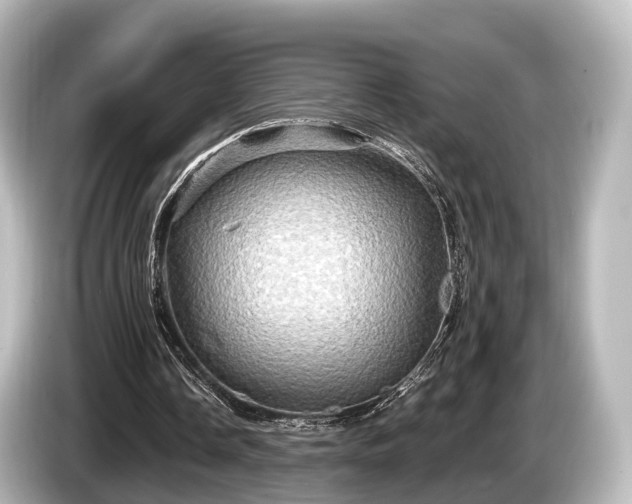 X0000085300338200703161437