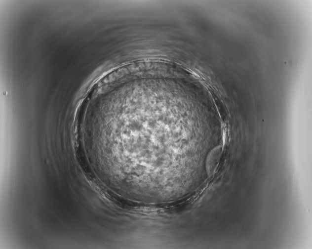 X0000085300339200703161438