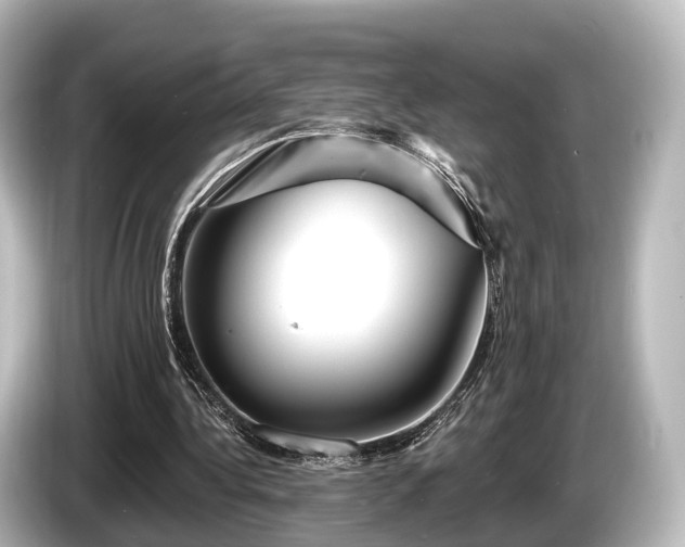 X0000085300340200703161438