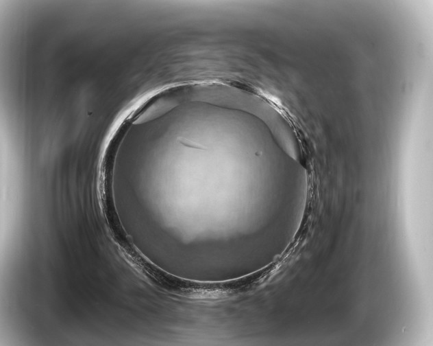 X0000085300342200703161438