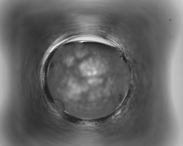 X0000085300343200703161438