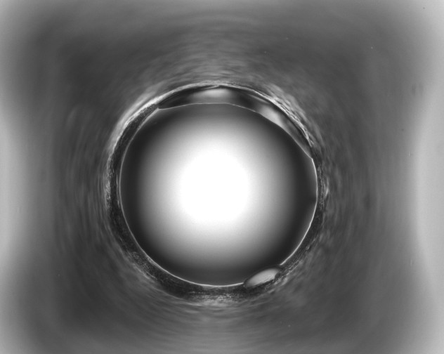 X0000085300344200703161438