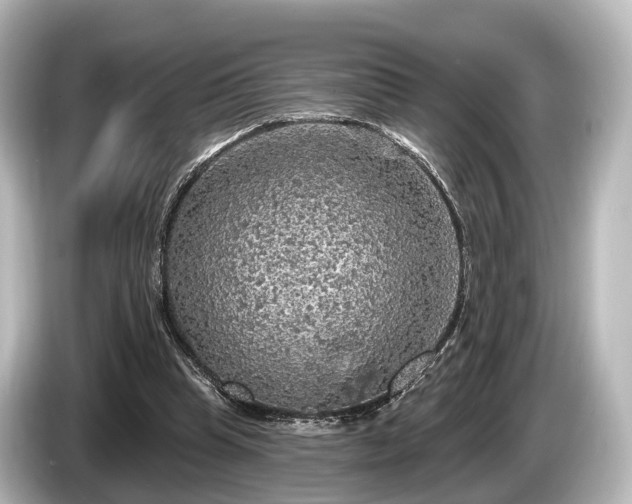 X0000085300345200703161438