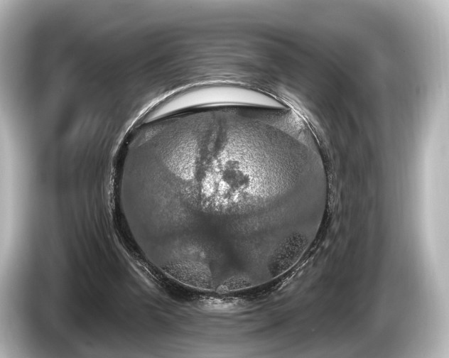 X0000085300346200703161438