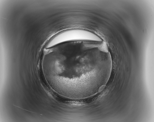 X0000085300347200703161438