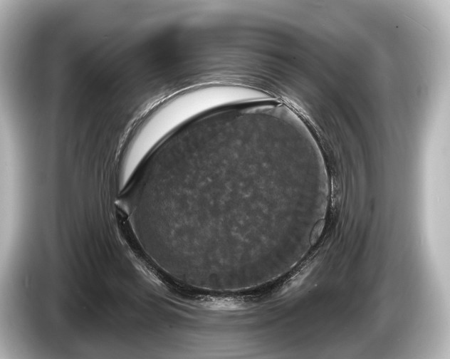 X0000085300349200703161438