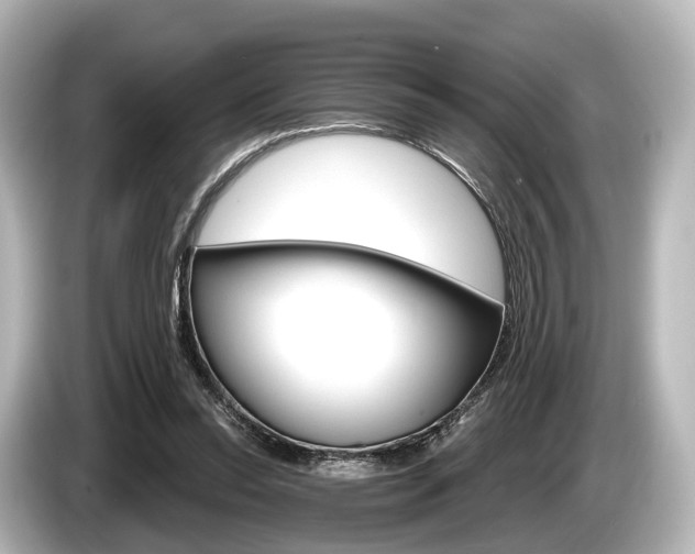 X0000085300350200703161438