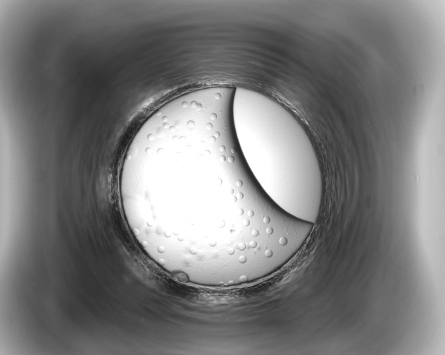 X0000085300351200703161438