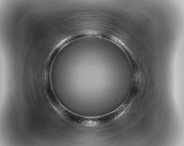 X0000085300352200703161438