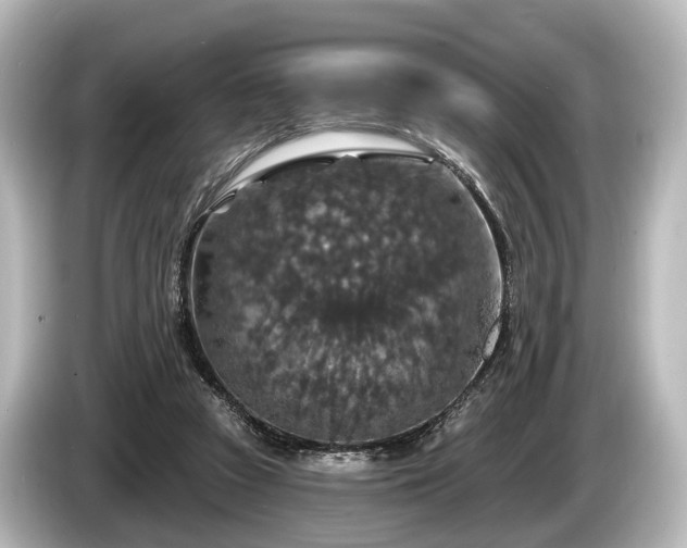 X0000085300353200703161438