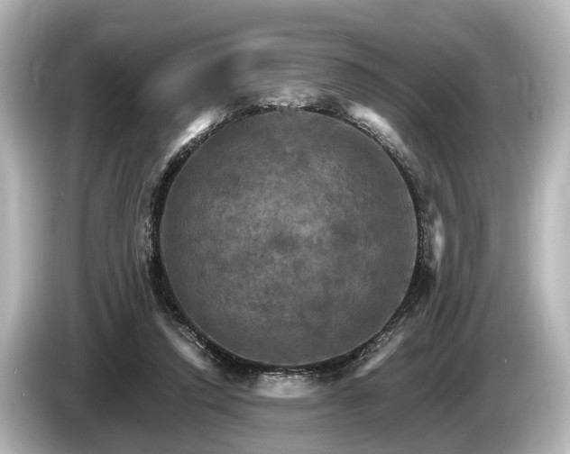 X0000085300354200703161438