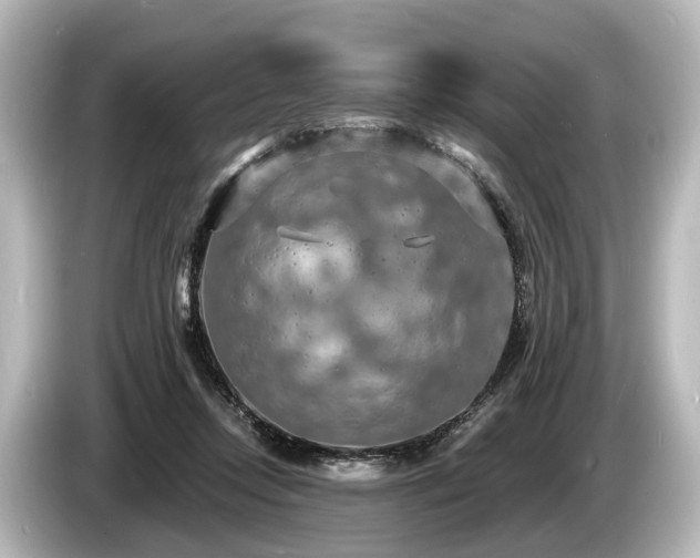 X0000085300358200703161438