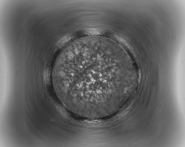 X0000085300359200703161438