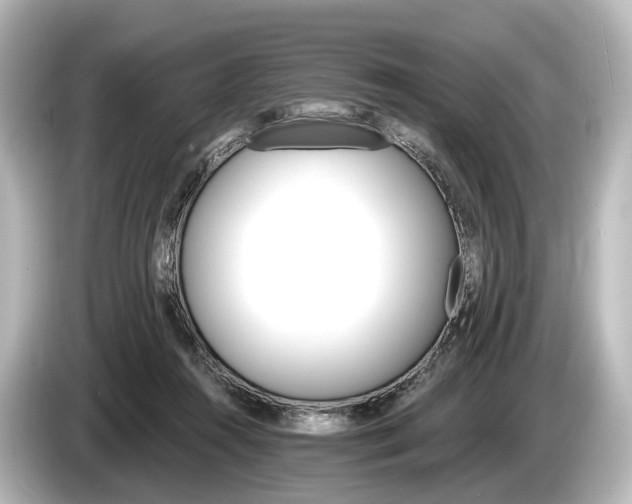 X0000085300360200703161438