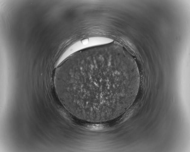 X0000085300361200703161438