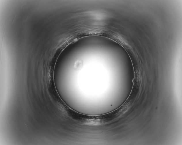 X0000085300362200703161438