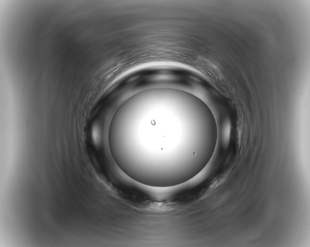 X0000085300364200703161438