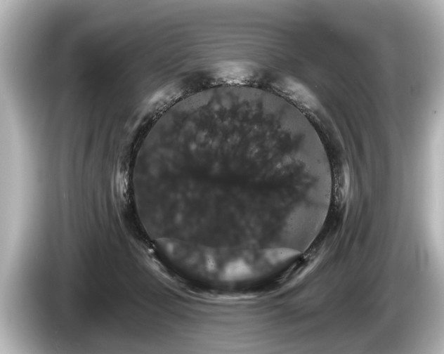 X0000085300365200703161438