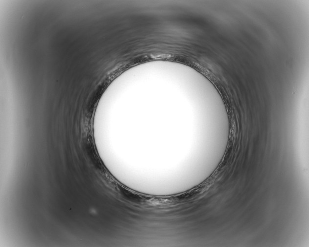 X0000085300367200703161438