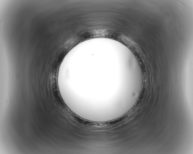 X0000085300369200703161438