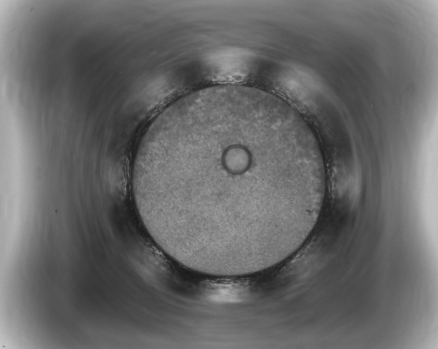 X0000085300370200703161438