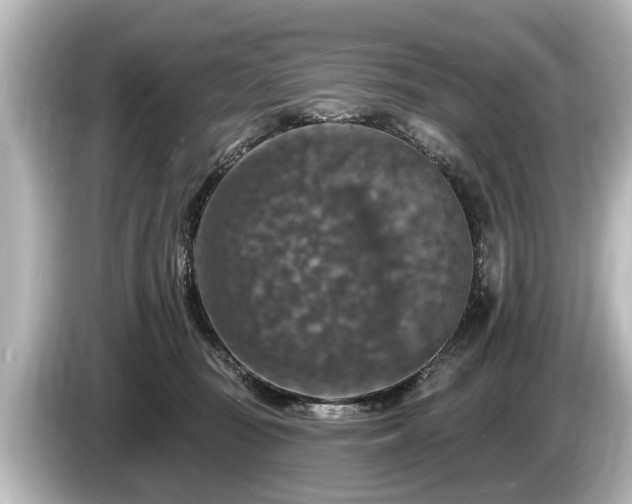 X0000085300371200703161438