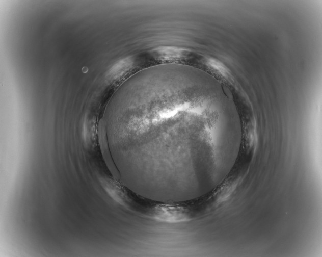 X0000085300372200703161438