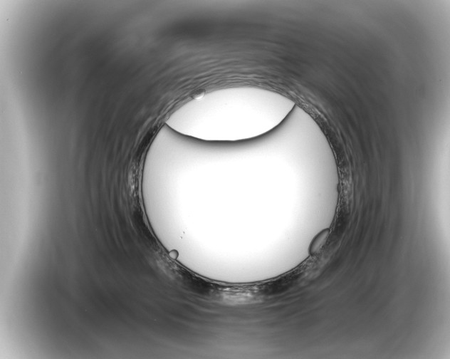 X0000085300373200703161438