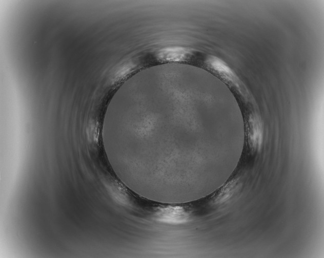 X0000085300374200703161438