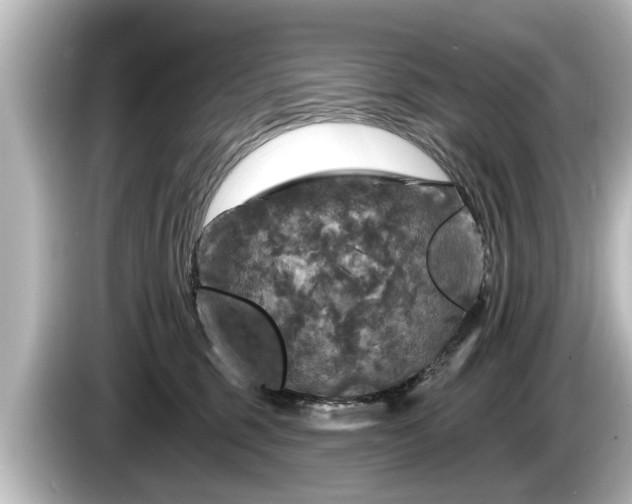 X0000085300375200703161438