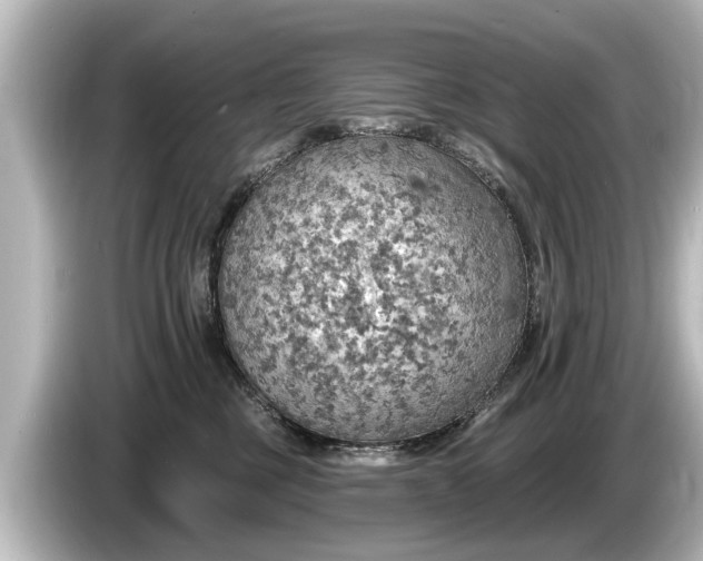 X0000085300377200703161438