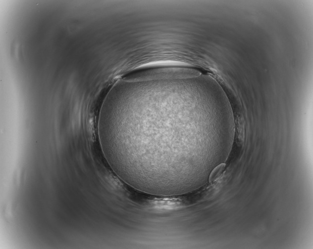 X0000085300378200703161438