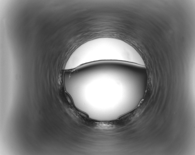 X0000085300380200703161438