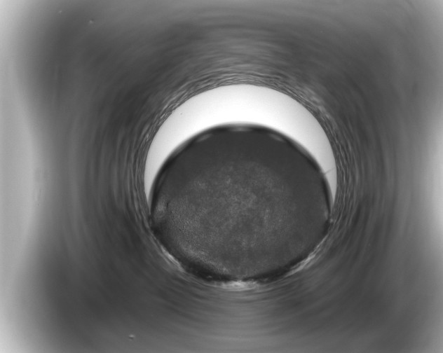 X0000085300382200703161438