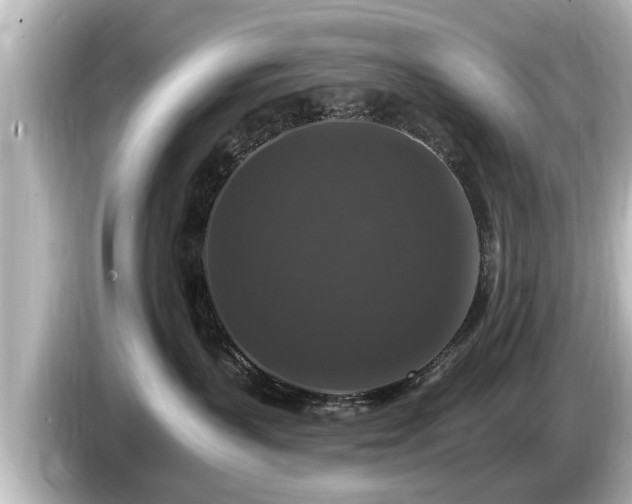 X0000085300383200703161438