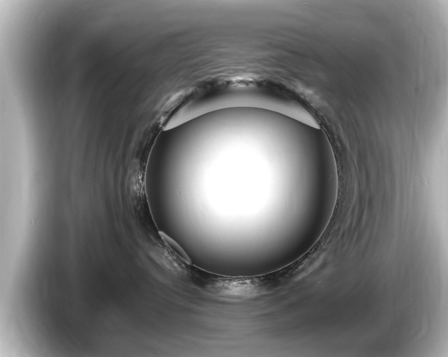 X0000085300384200703161438