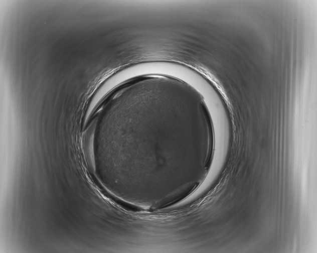 X0000085300385200703161437