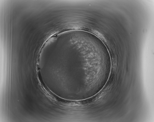 X0000085300386200703161437