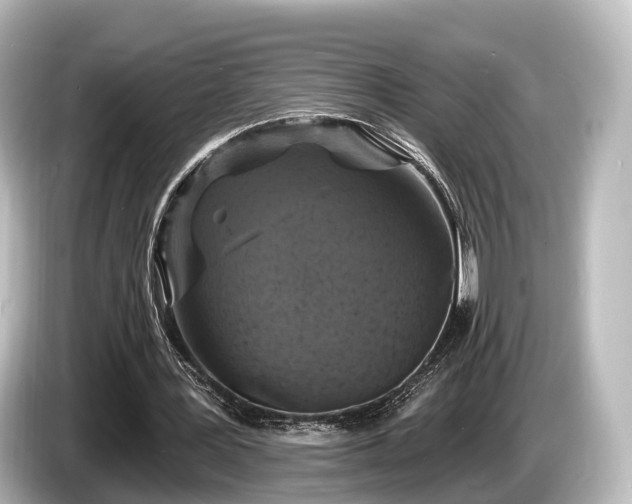 X0000085300387200703161437