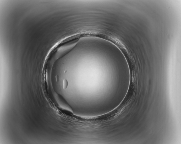 X0000085300388200703161437