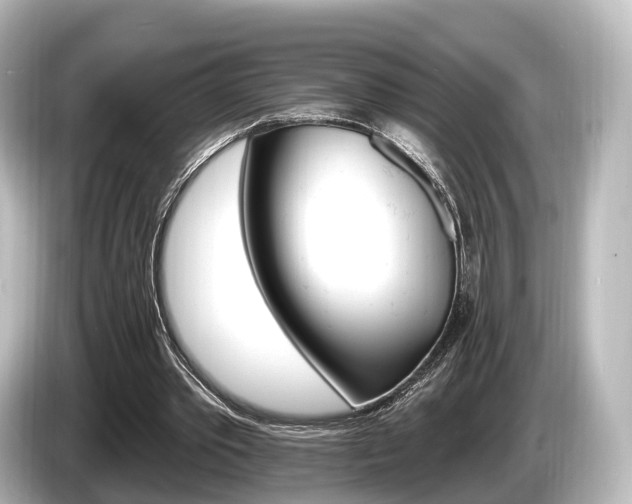 X0000085300389200703161437