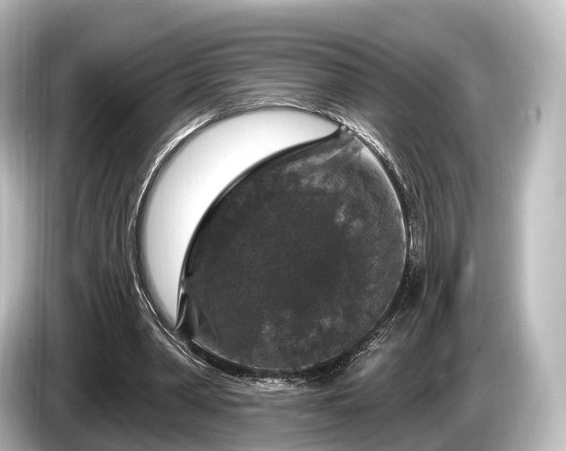 X0000085300390200703161437