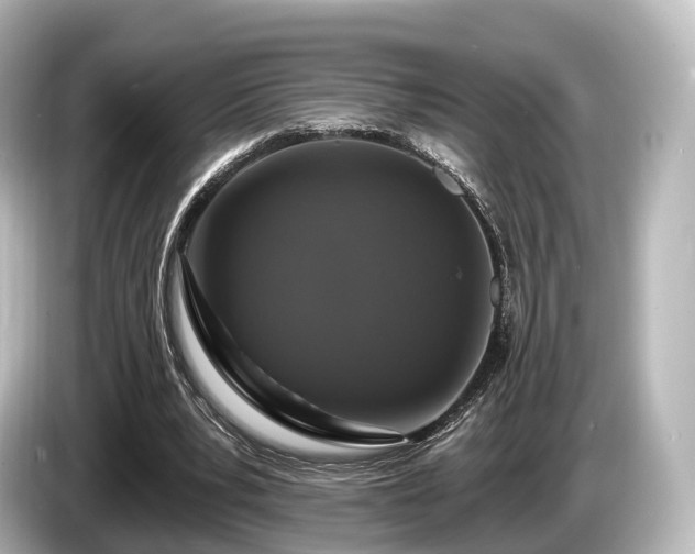 X0000085300391200703161437