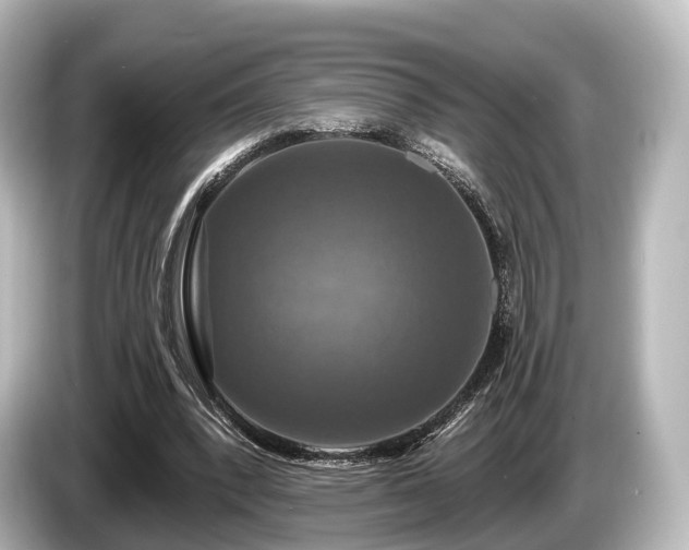 X0000085300392200703161437