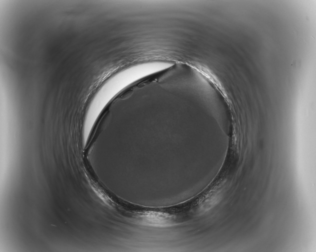 X0000085300393200703161437