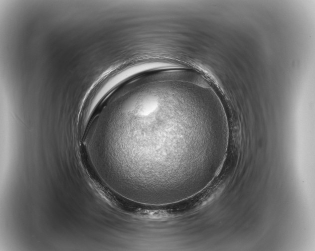 X0000085300395200703161437