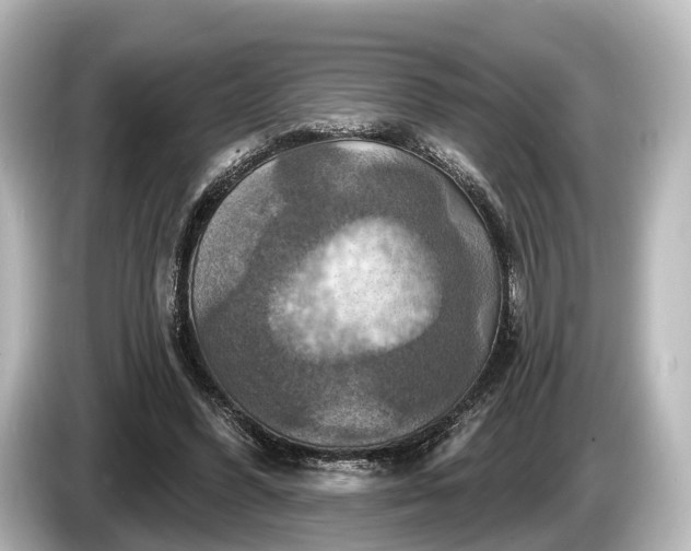 X0000085300396200703161437