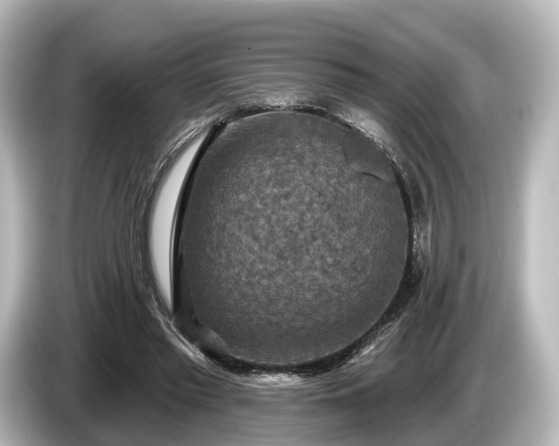 X0000085300397200703161437