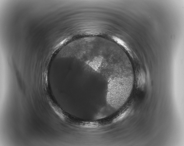 X0000085300398200703161437