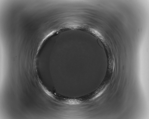 X0000085300399200703161437